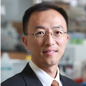guohao-dai-1