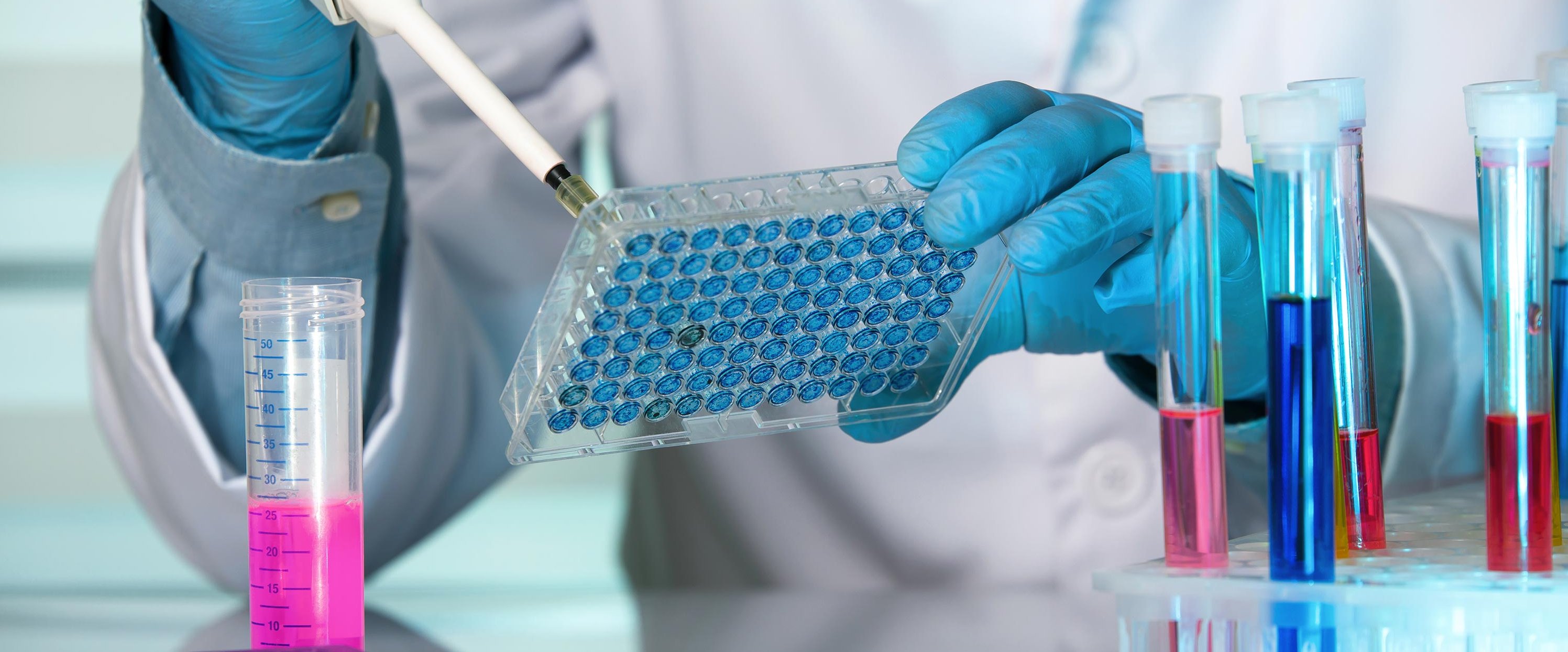 Announcing the 2024 BMES Award Winners